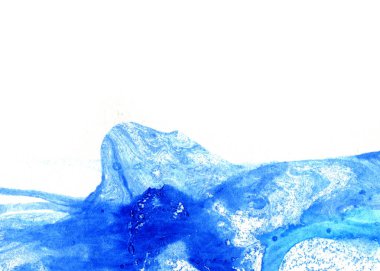 Soyut mürekkep arkaplanı. Mermer tarzı. Beyaz kağıda siyah boya dokusu. Ağ ve oyun tasarımı için duvar kağıdı. Grunge çamur sanatı. Kalem suyunun makro resmi. Koyu Smear