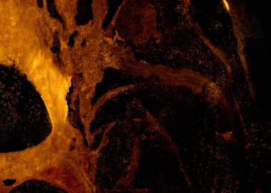 Soyut mürekkep arkaplanı. Mermer tarzı. Beyaz kağıda siyah boya dokusu. Ağ ve oyun tasarımı için duvar kağıdı. Grunge çamur sanatı. Kalem suyunun makro resmi. Koyu Smear