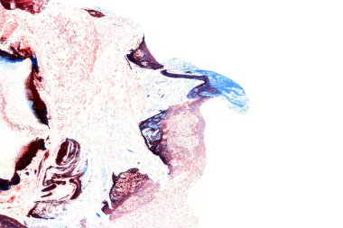 Soyut mürekkep arkaplanı. Mermer tarzı. Beyaz kağıda siyah boya dokusu. Ağ ve oyun tasarımı için duvar kağıdı. Grunge çamur sanatı. Kalem suyunun makro resmi. Koyu Smear