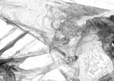 Soyut mürekkep arkaplanı. Mermer tarzı. Beyaz kağıda siyah boya dokusu. Ağ ve oyun tasarımı için duvar kağıdı. Grunge çamur sanatı. Kalem suyunun makro resmi. Koyu Smear