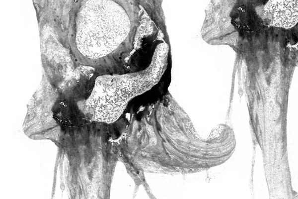 Absztrakt Tinta Háttér Márvány Stílus Fekete Festéklöket Textúra Fehér Papíron — Stock Fotó