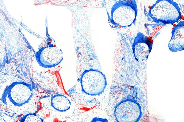 Abstrakt Bläck Bakgrund Marmorstil Svart Färg Stroke Struktur Vitt Papper — Stockfoto