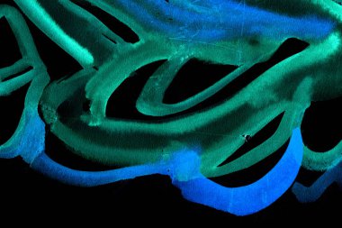 Soyut mürekkep arkaplanı. Mermer tarzı. Beyaz kağıda siyah boya dokusu. Ağ ve oyun tasarımı için duvar kağıdı. Grunge çamur sanatı. Kalem suyunun makro resmi. Koyu Smear