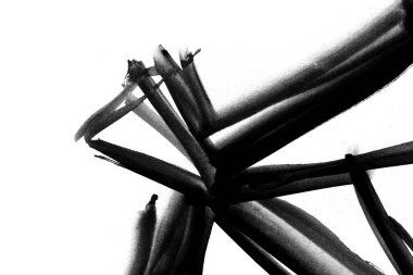 El suluboya arka plan boyalı. Kağıt üzerinde sıçramasına renk. Soyut duvar kağıdı. Mermer tarzı. Boya kontur dokusu. Web ve oyun tasarımı için arka plan. Görüntüyü