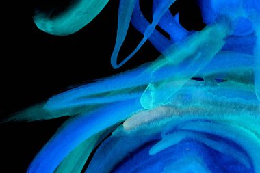 Siyah arka plan üzerinde mavi boya darbeleri doku lekeleri ile soyut mürekkep deseni