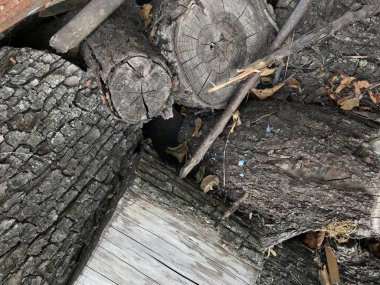 kısmi yüzey ve soyut arka plan 