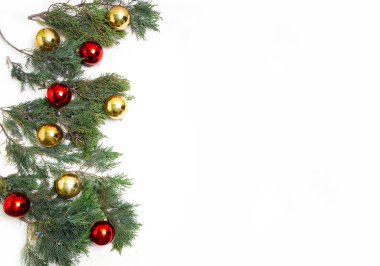 Altın ve kırmızı topları olan beyaz bir arka planda Noel ardıcı.
