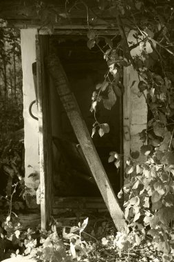 Çiftliğin bodrum katına açılan eski terk edilmiş kapı, siyah beyaz fotoğraf, Sepia..