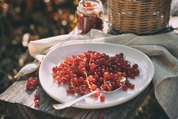 Red currants on a white plate on a wooden Board in the garden — Stock Photo, Image