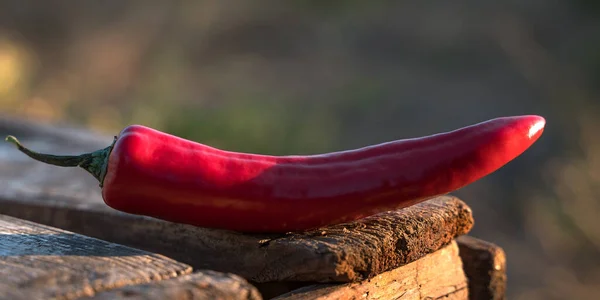 Le piment rouge sur fond naturel se trouve sur une boîte en bois à l'air libre. — Photo