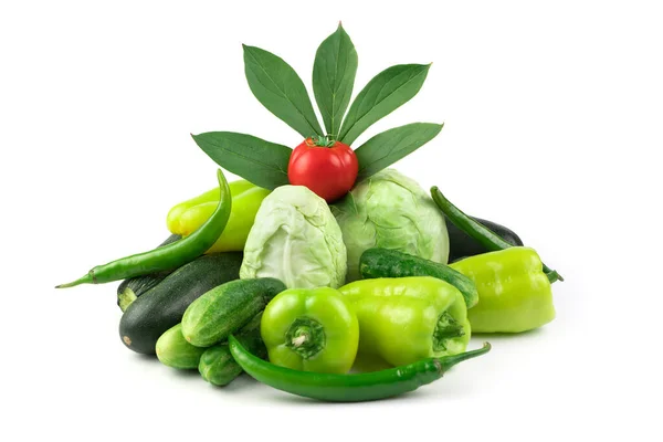 Légumes divers : tomates, chou, concombres, poivrons, courgettes et une branche verte avec des feuilles sur fond blanc. — Photo