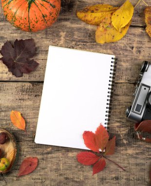 Notepad, kamera, balkabağı, böğürtlen ve yapraklardan oluşan sonbahar modeli..