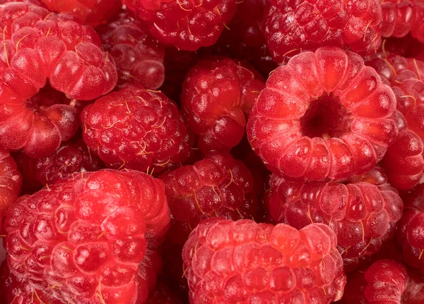 Frambuesas frescas y jugosas con gotas de agua de cerca. —  Fotos de Stock