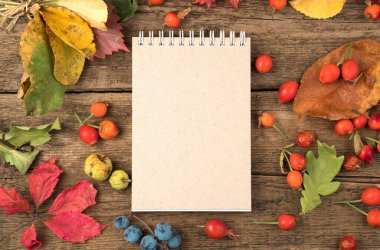 Notepad 'in sonbahar yerleşimi, doğal ahşap arka planda böğürtlen ve yapraklar.