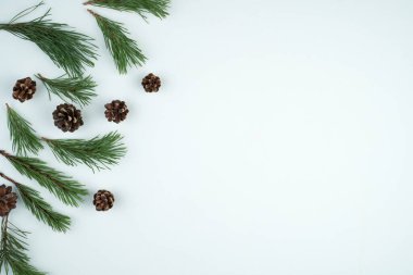 Mavi beton zemin üzerinde çam dalları ve konilerin Noel çerçeve arka planı, üst görünüm.