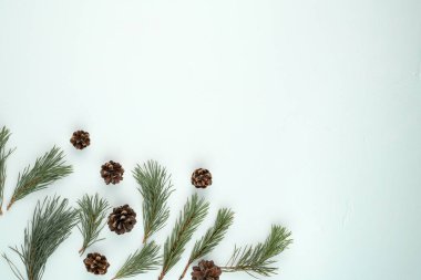 Çam dalları ve koniler alt köşede, mavi beton arka planda, üst görünümde..