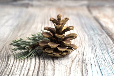 Spruce dalı ve çam kozalağı doğal ahşap arka planda. Yan görünüm. 