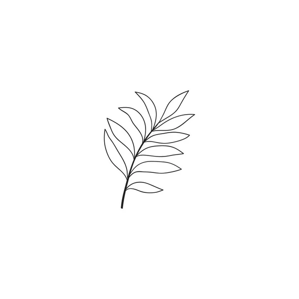 Hand Drawn Tropical Leaf Only Outline — Stock Vector