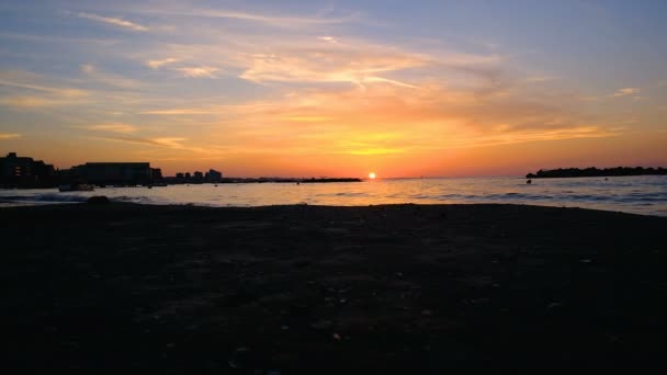 Закат на пляже в rimini italy с собакой — стоковое видео