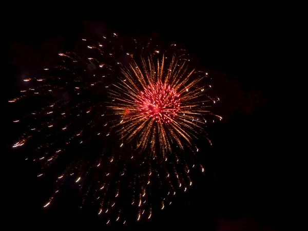 Beautiful Fireworks Terno Black Sky Isolated — Stock Photo, Image
