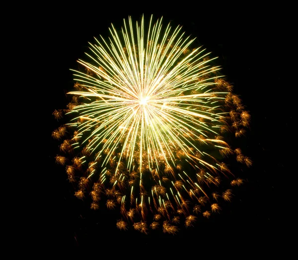 Belos Fogos Artifício Terno Céu Negro Isolado — Fotografia de Stock