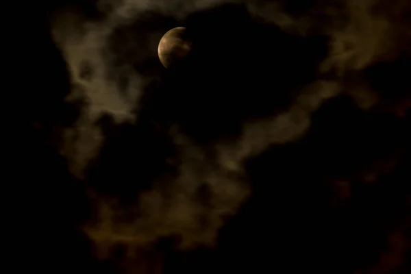 Krásný Ohňostroj Ternu Černé Obloze Izolované — Stock fotografie