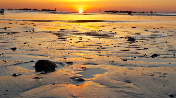 Sonnenaufgang Strand Des Mittelmeeres Riccione Rimini Mit Sonne Reflektiert Sand — Stockfoto