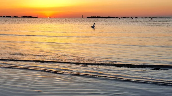 Lever Soleil Sur Plage Mer Méditerranée Riccione Rimini Avec Soleil — Photo