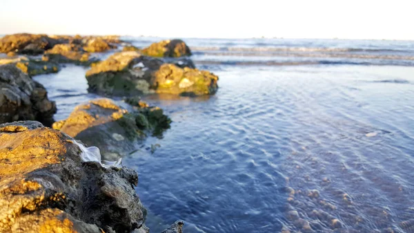 地中海海岸上的岩石日落时分 里米尼 里孔带着海滩和沙滩 — 图库照片