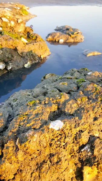 地中海の海岸にある岩リミニ リシオーネビーチと砂で日没 — ストック写真