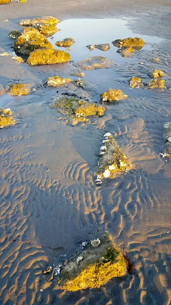 地中海海岸上的岩石日落时分 里米尼 里孔带着海滩和沙滩 — 图库照片