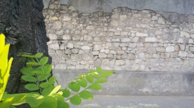 Güneşli bir günde eski taş duvar ve tuğla desenli arka plan