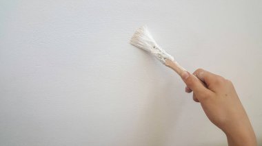 El boyası beyaz duvar boyası ve fırça. Yüksek kalite fotoğraf