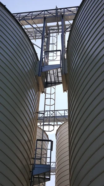 Grandes Silos Blancos Para Contención Cereales Foto Alta Calidad —  Fotos de Stock