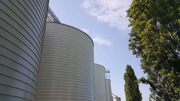 Grands Silos Blancs Pour Confinement Des Céréales Photo Haute Qualité — Photo