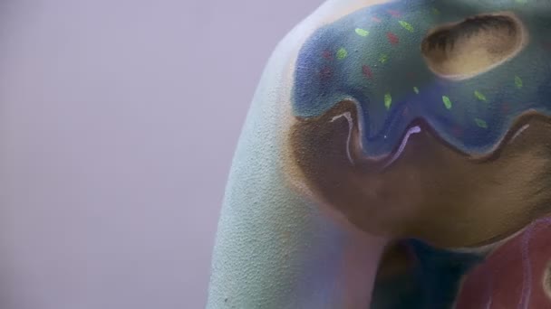 Meisje Geschilderd Met Techniek Van Body Painting Met Borstel Aquarellen — Stockvideo