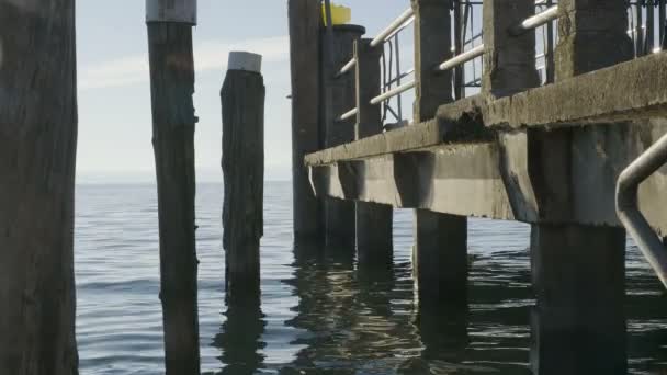 日落时带着白天鹅的尖塔 来自加尔达湖上的海燕 人们在一起 — 图库视频影像