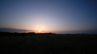 Uzun otlar ve batan güneşli buğday tarlaları arasında güzel bir gün batımı. Yüksek kalite fotoğraf