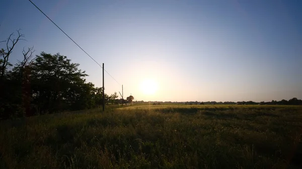 Belo Pôr Sol Entre Grama Alta Campos Trigo Com Pôr — Fotografia de Stock