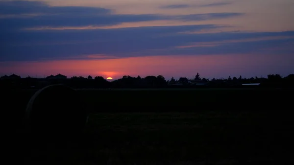 Wunderschöner Sonnenuntergang Zwischen Hohem Gras Und Weizenfeldern Mit Untergehender Sonne — Stockfoto