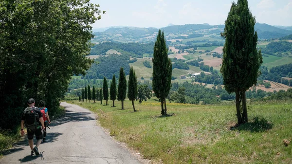 Colline Emiliane Con Vegetazione Verde Nelle Colline Emiliane Con Vegetazione — Foto Stock