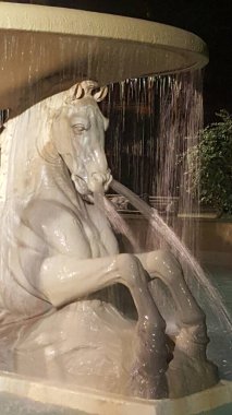 Rimini Central Fountain 'da yaz akşamları atlarla birlikte. Yüksek kalite fotoğraf