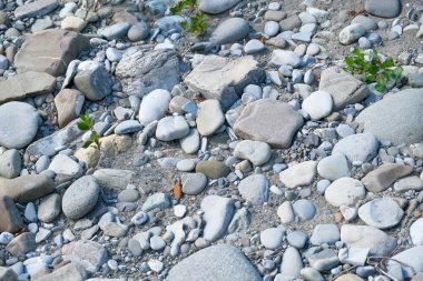 Güneşli bir günde nehir yatağında çakıl ve taşlar. Güneşli bir günde nehir yatağında yüksek kaliteli foto baloncuklar ve taşlar.