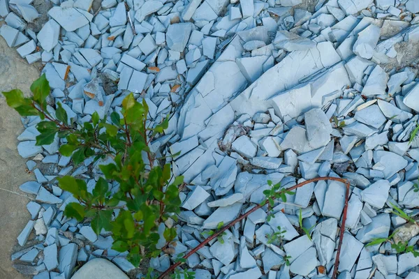 Kavicsok Kövek Folyómederben Napsütéses Napon Kiváló Minőségű Fotopédusok Kövek Folyómederben — Stock Fotó