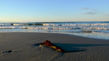 Günbatımında Riccione sahilindeki tahta sandıkta güneş yansımaları var.