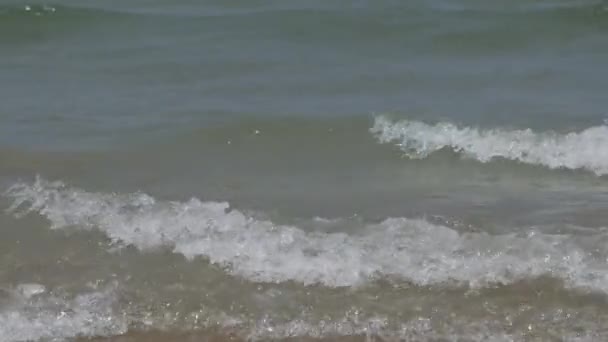 リミニのビーチをゆっくりと歩く毛深い足は — ストック動画