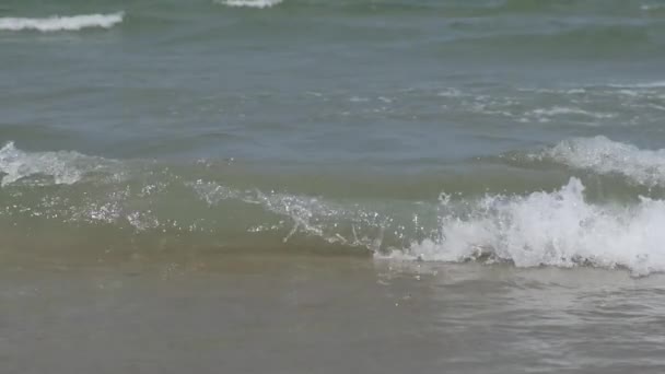 Haarige Beine Strand Von Rimini Zeitlupe — Stockvideo