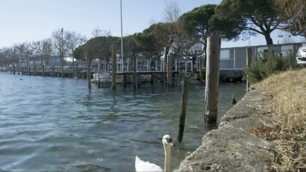 Kuğu Gölü Garda Sirmione Panorama Güneşli bir günde tekneler için sütunlar — Stok video