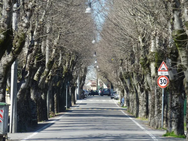 Bibbiano Reggio Emilia Avenidas Redor Prefeitura Foto Alta Qualidade — Fotografia de Stock