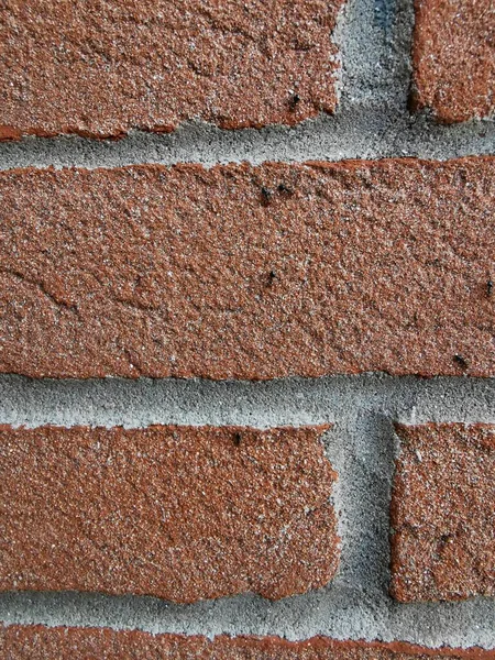 蚂蚁在红砖墙上的柱子上 高质量的照片 — 图库照片